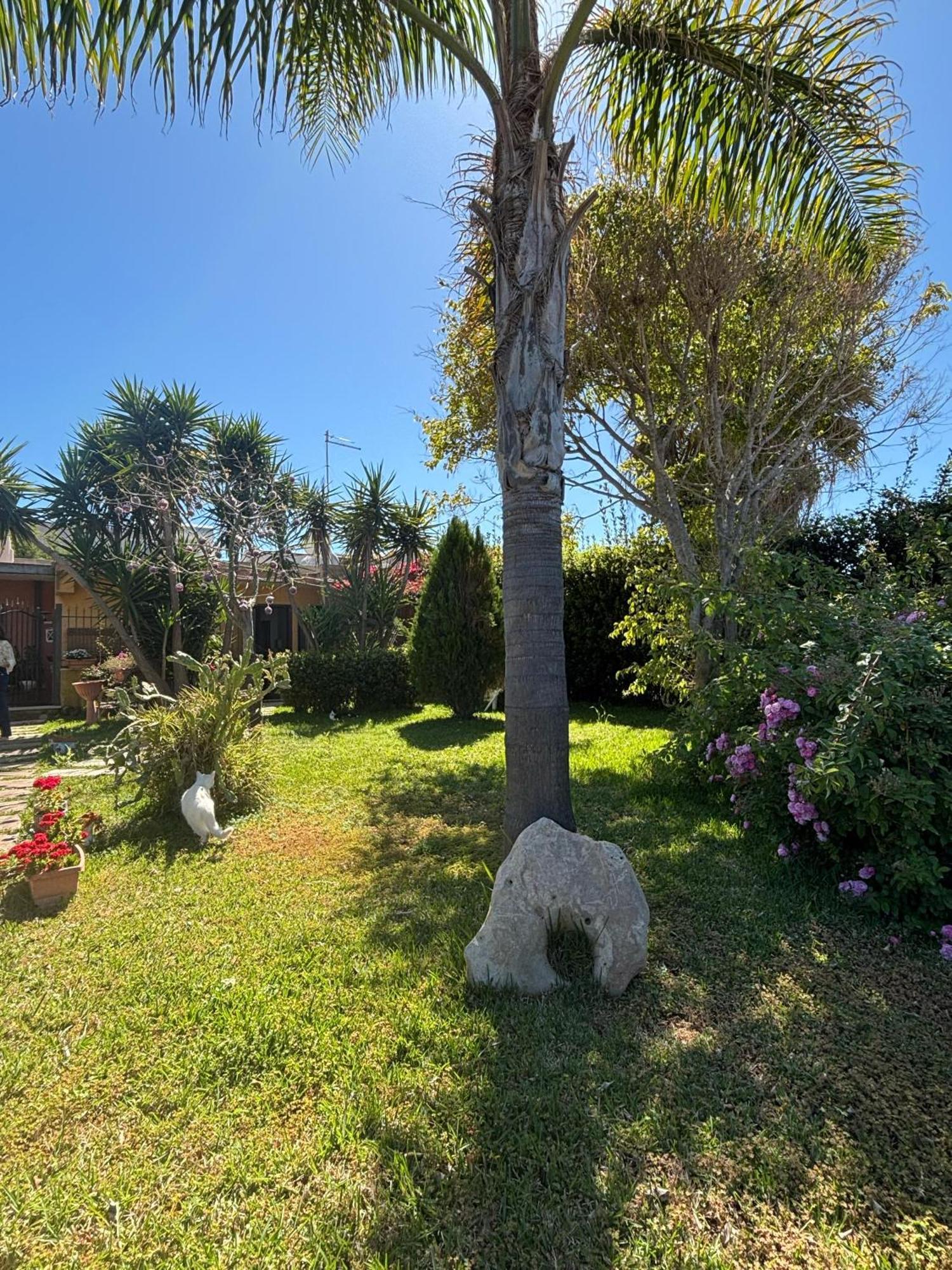 Villa Agua Marina Avola Exterior foto